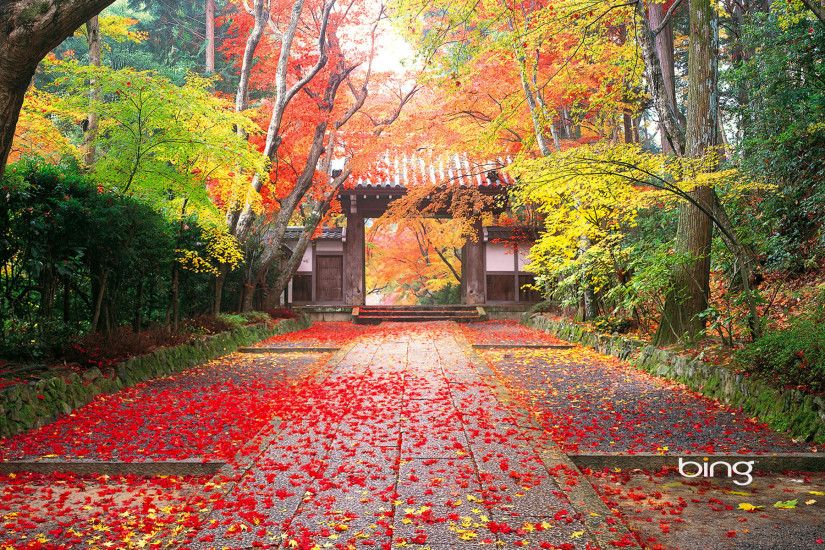 Japanese Background Landscape Drawing Best 54+ Japanese Background On  Hipwallpaper | Cute Japanese