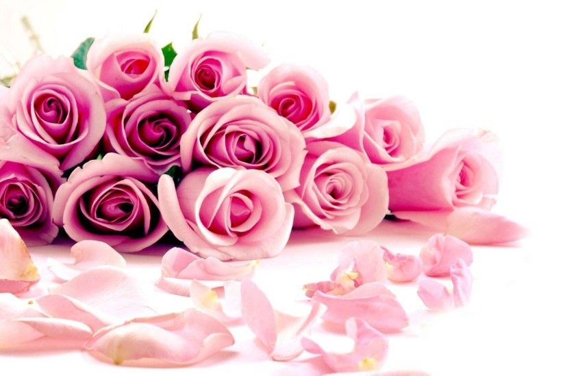 Flowers For > Pink Roses Backgrounds