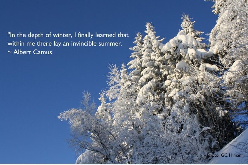 ... Winter Snow Funny Desktop backgrounds with quotes and sayings ...