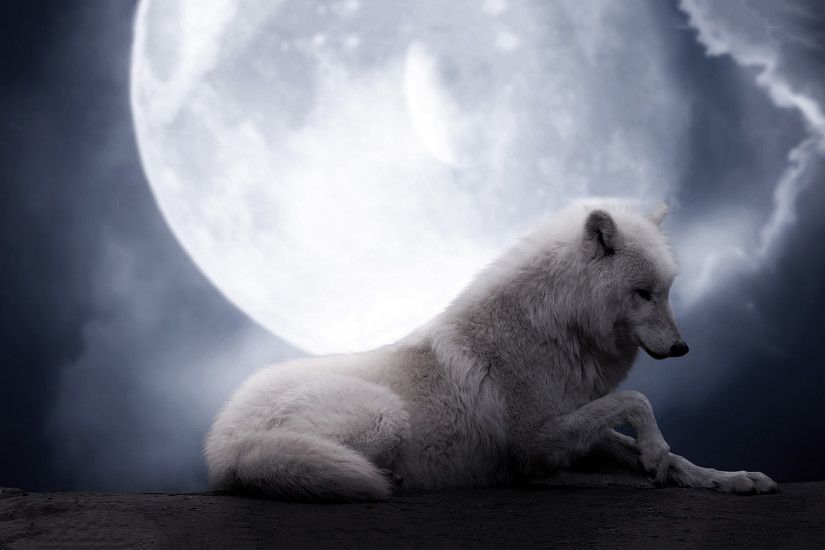 free pictures of wolves | HD The Wolf Moon Wallpaper
