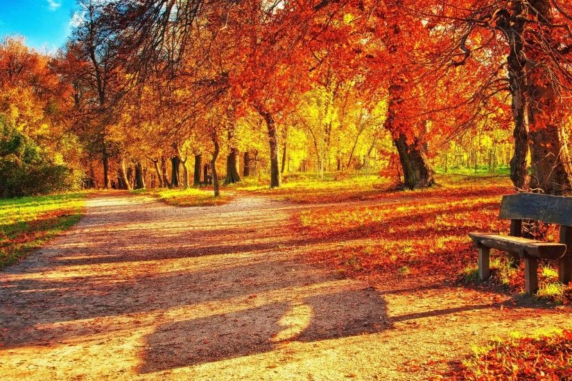 Leaves Park Trees Bench Autumn Nature Wallpaper HD Desktop Free Download