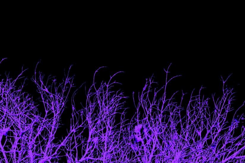 Wallpapers For > Dark Purple Background Tumblr Dark Purple Background Tumblr