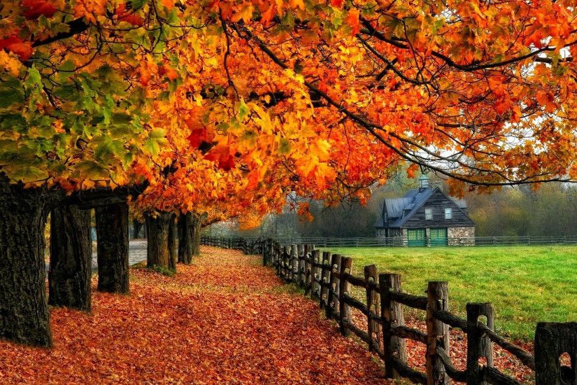 autumn-fall-tree-house-fenc Autumn Wallpaper Examples for Your Desktop  Background
