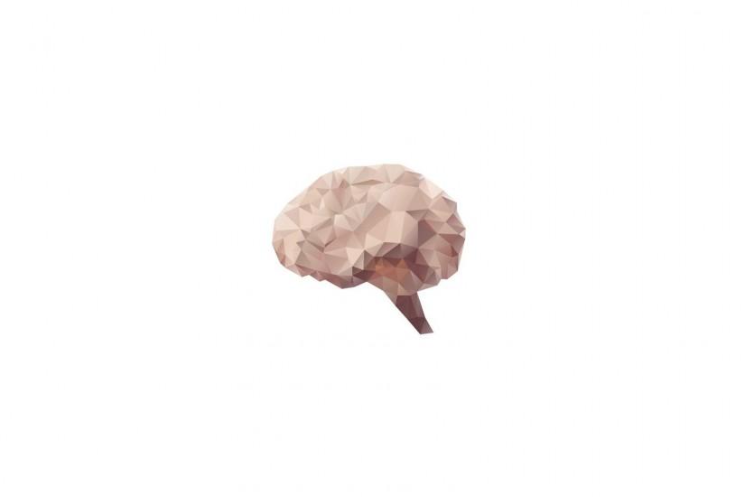 brain, Digital Art, White Background, Minimalism, Organs, Low Poly Wallpaper  HD
