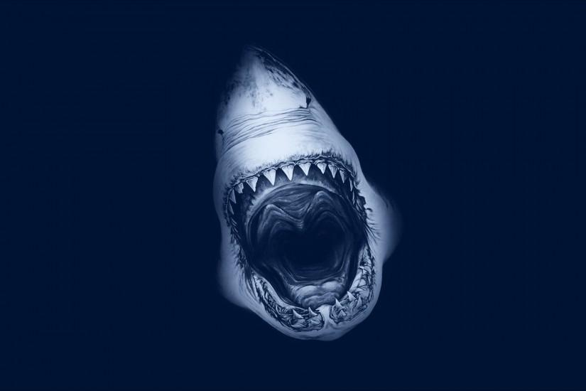 download shark wallpaper 1920x1200 for macbook