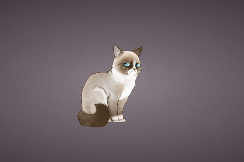 Grumpy Cat Meme Hd Desktop Wallpaper