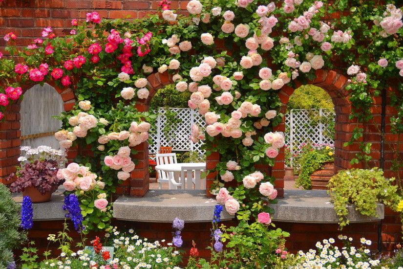 rose garden images - HD Desktop Wallpapers | 4k HD