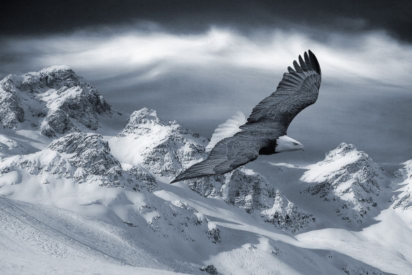 Preview wallpaper eagle, mountain, sky, snow, hills, birds, predators  1920x1080
