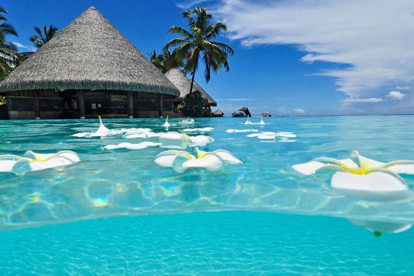 paradise beach nature cool wallpapers | Desktop Backgrounds for Free .