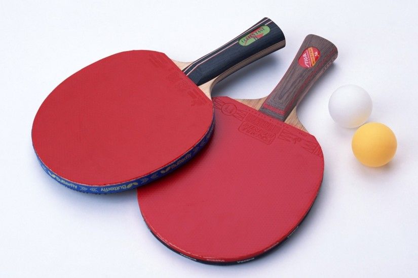 Download Wallpaper Â· Back. sports ping pong ...