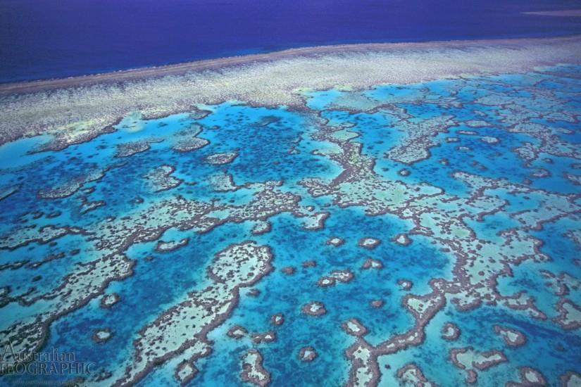 Great Barrier Reef Wallpaper 3 40902 Images HD Wallpapers .
