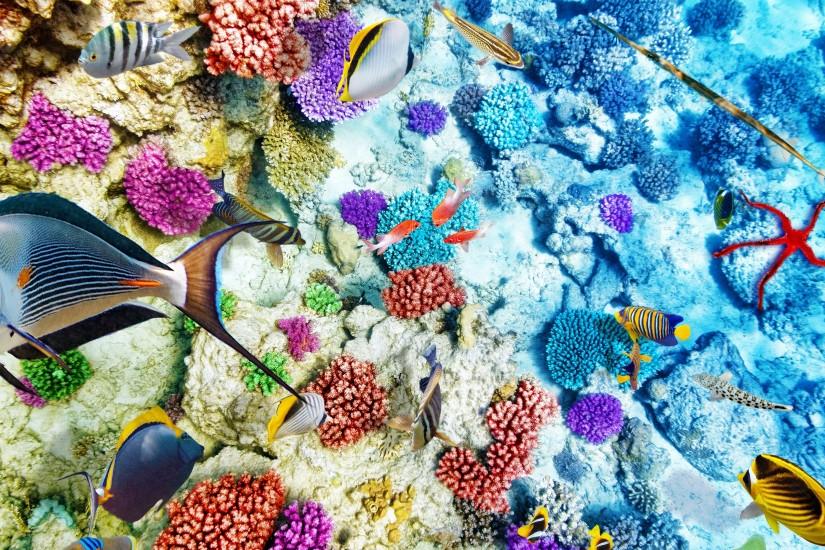 coral reef background image