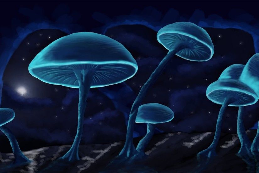 Mushroom Wallpapers - WallpaperSafari