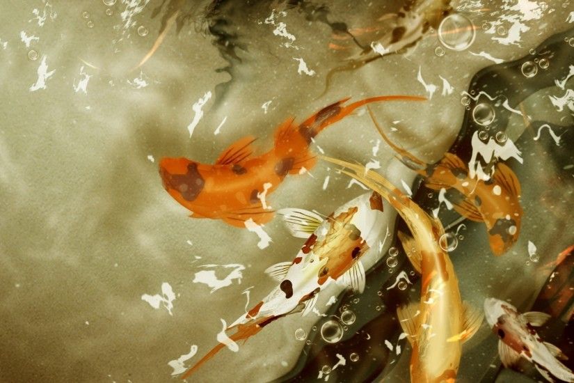 Koi Fish In The Pool for 2560x1440