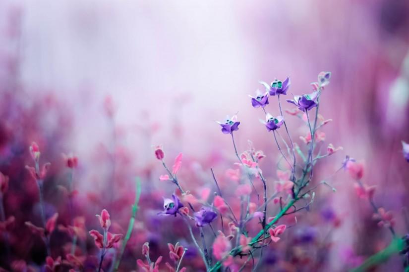 vertical flowers wallpaper 2880x1800 for mobile hd