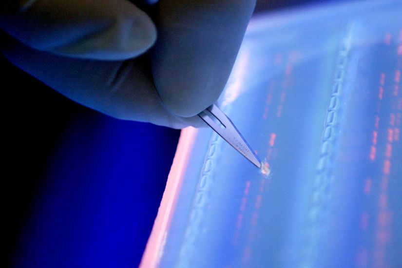 This recent scientific finding on DNA could be a forensic breakthrough -  Business Insider