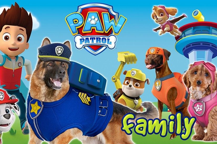 Paw Patrol Finger Family Songs | Chase, Rubble, Skye, Marshall | Nursery  Rhymes and more - YouTube