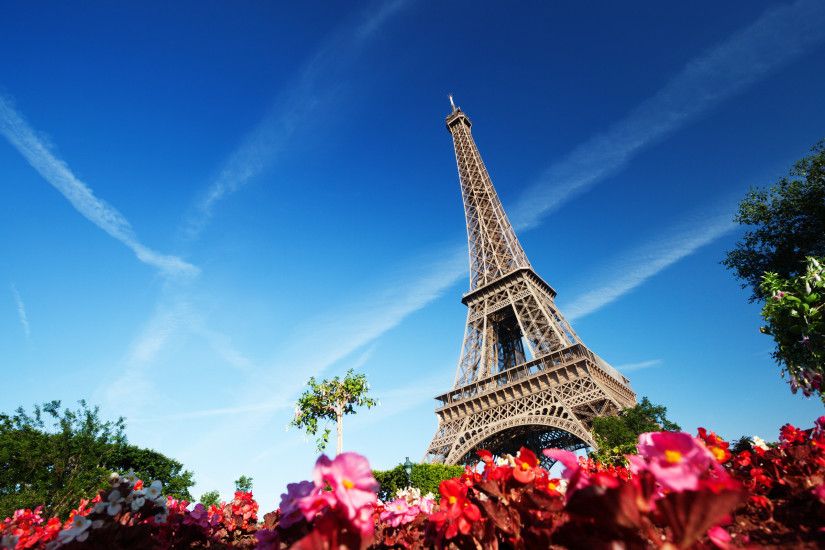 Eiffel Tower and Flowers Wallpaper
