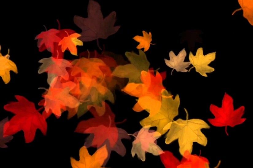 Autumn Leaves - Particle Animation Footage Stock Background Video Effect HD  1080P - YouTube