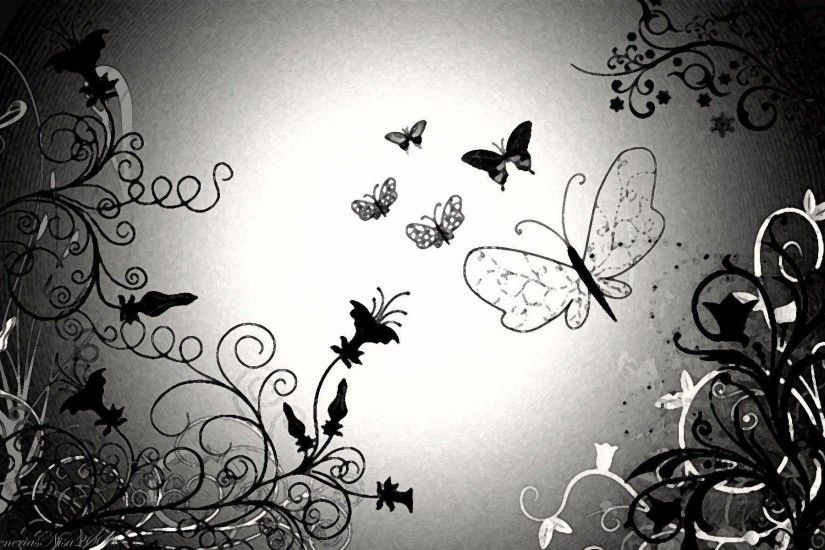 Black And White Butterfly Wallpaper HD