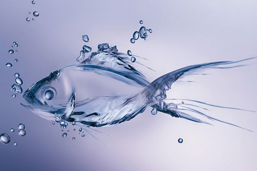 Fish Aquarium Screensaver Mac Free : Water fish wallpaper hd backgrounds  cool mac pc 1920x1080 simply