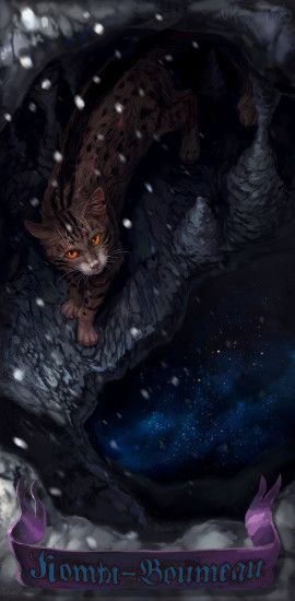 ... Warrior cats - Teller of the Pointed Stones by Cat-Patrisiya