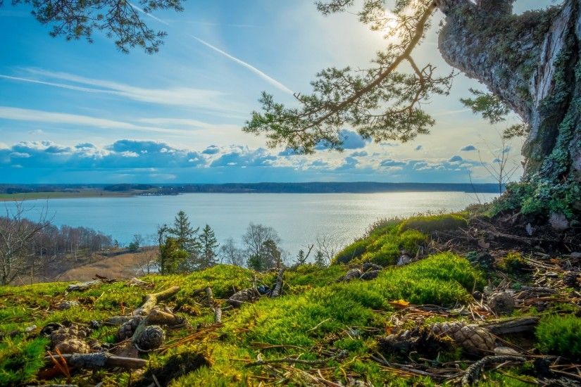 nature, Landscape, Summer, River, Trees, Grass, Clouds, Sunlight, Sky,  Sweden Wallpapers HD / Desktop and Mobile Backgrounds