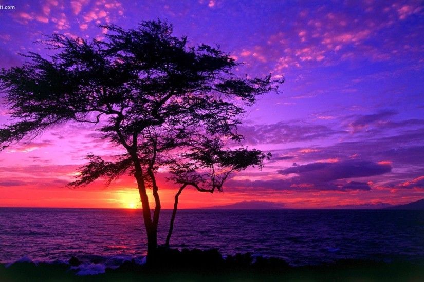 wallpaper-qmhgxry-seaside-beautiful-sunset-sunrise-scenery-pretty-images.jpg  (1920Ã1200) | Sunrises & Sunsets Photography | Pinterest | Wallpaper and ...