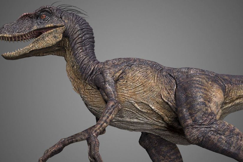 Velociraptor WIP