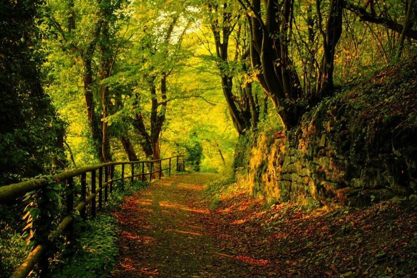 Fall Desktop Wallpapers, Fall Images Free, New Wallpapers