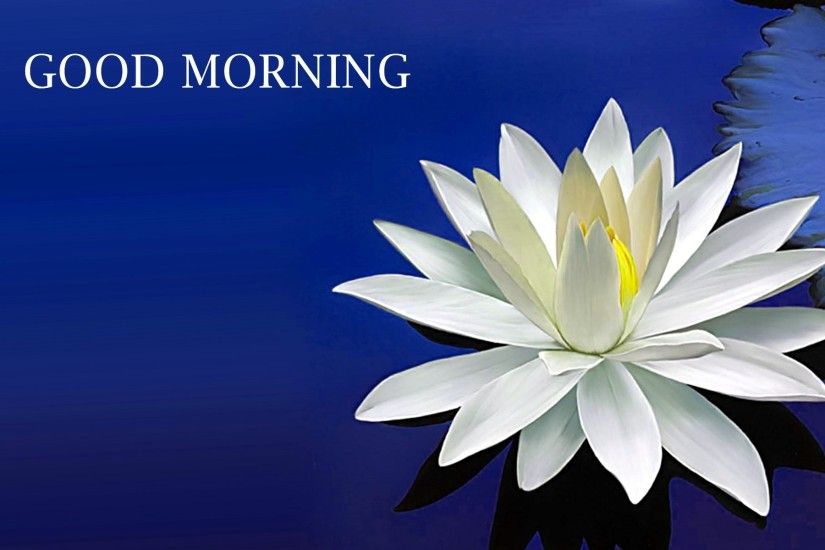 white flower good morning