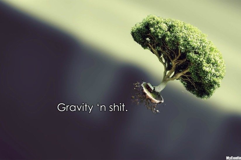 gravity.jpg (238 KB)