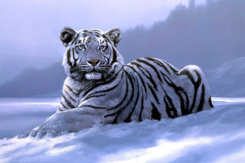 1920x1080 White Tiger Wallpaper Best Collection Of Tiger HD Wallpapers.  Download Â· 2560x1600 White Tigers Wallpapers ...