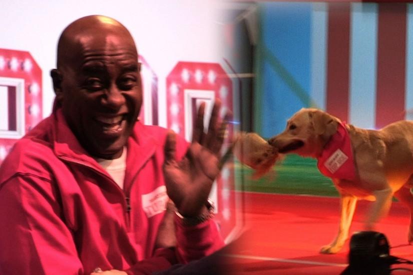Ainsley Harriott's dog is barking mad! | Sport Relief's Top Dog - YouTube