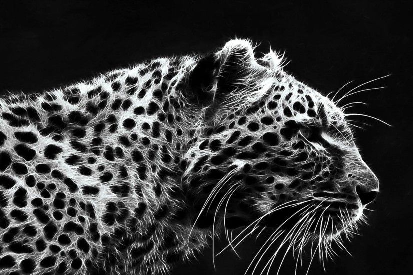 jaguar-animal-wallpaper-download