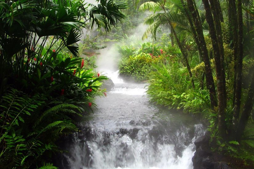 Waterfall in Costa Rica Rainforest Wallpaper Rivers Nature (63 Wallpapers)  – HD Wallpapers