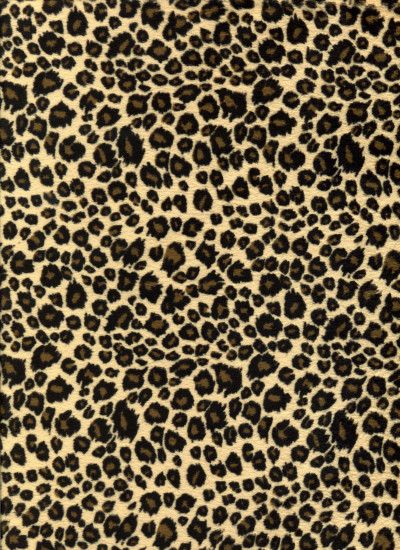 Leopard Print Black And White Cd Design With Animal Jaguar. design ideas  for small living ...