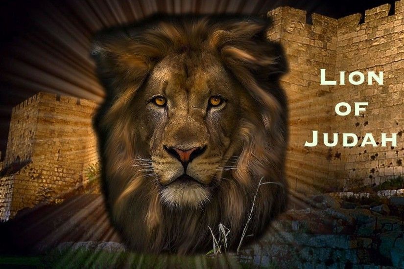 ... Judah Source Â· Lion and Lamb Wallpaper 54 images