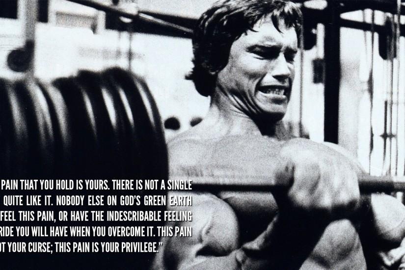 Arnold Schwarzenegger, Bodybuilder, Bodybuilding Wallpaper HD
