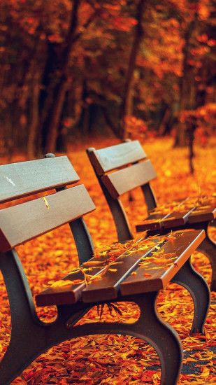1080x1920 Nature Autumn Fall Leaves On Roadside Bench iPhone 6 Wallpaper .