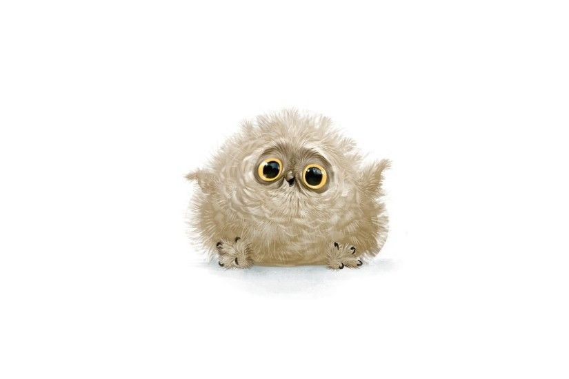 owl cute view happiness feathers white background