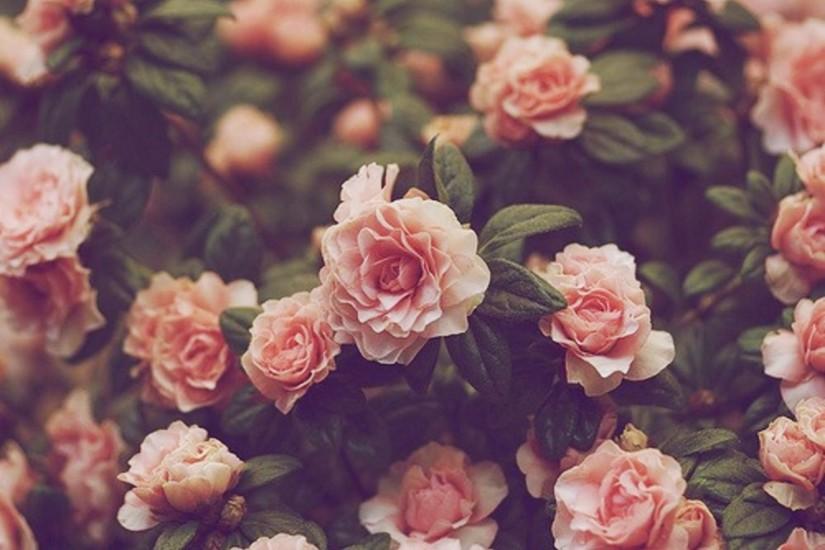 Vintage Floral Desktop Wallpaper Images Background ...