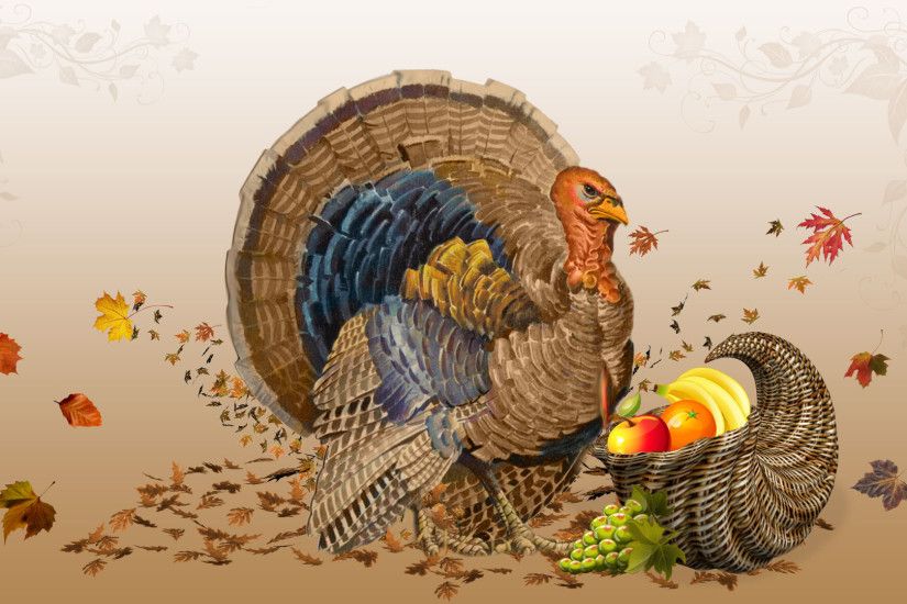 Happy thanksgiving 2012 turkey Wallpaper HD