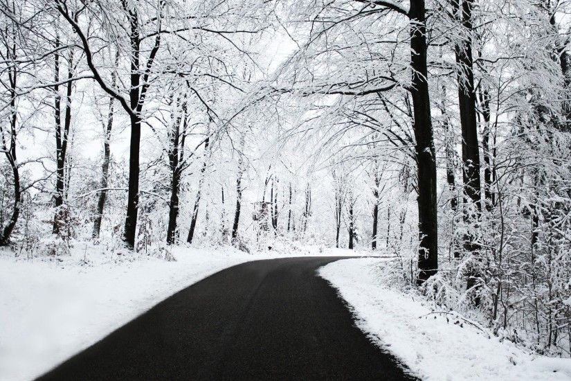 Winter road tree beautiful snow wallpaper | 1920x1440 | 553834 | WallpaperUP