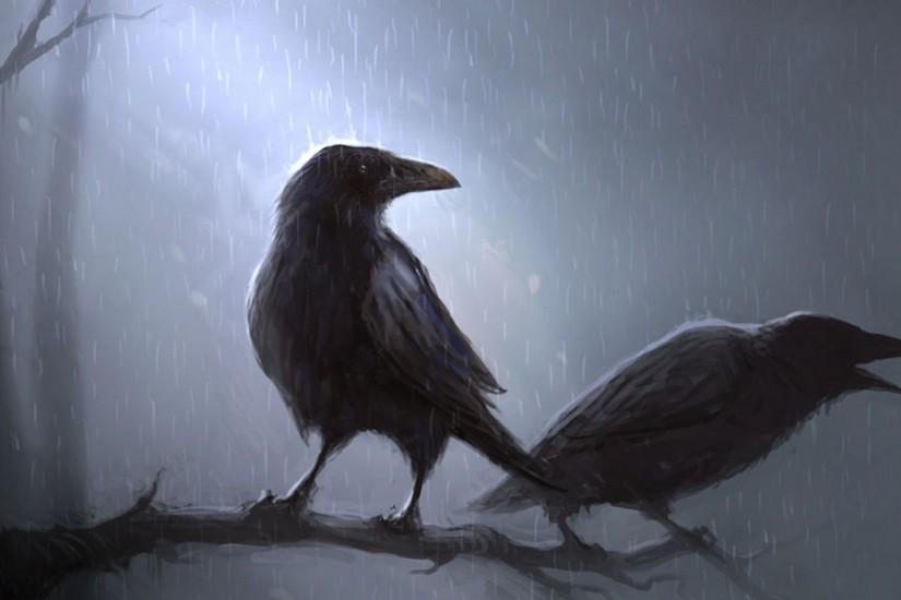ravens wallpaper - Animal Backgrounds