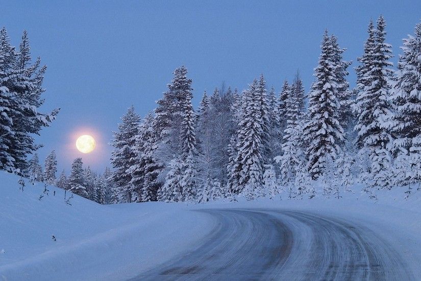 Snowy Forest Road Moon Night wallpapers and stock photos