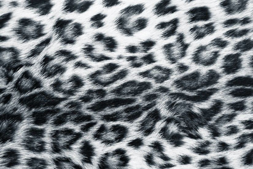 Snow Leopard Wallpaper 26 282598 Images HD Wallpapers| Wallfoy.com .
