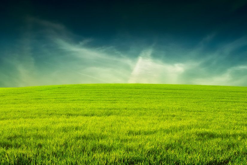 Grass Background Wallpapers WIN10 THEMES - HD Wallpapers