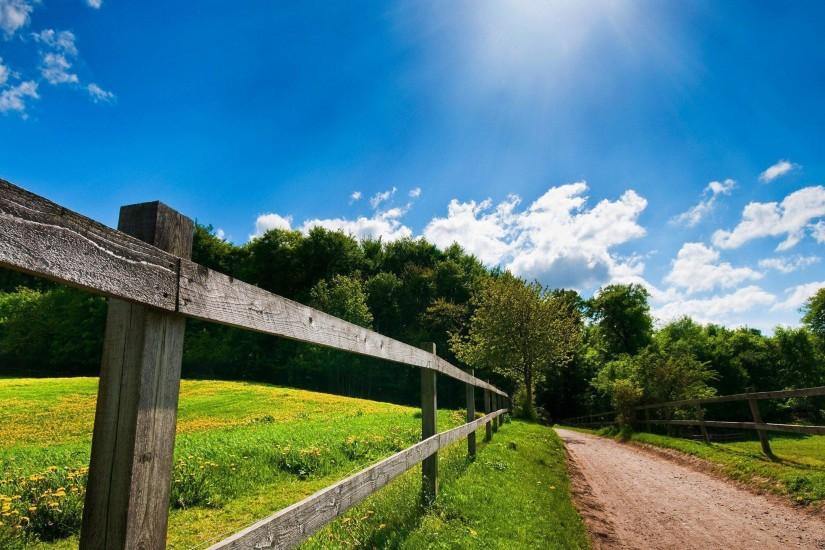 Summer Country Road Background