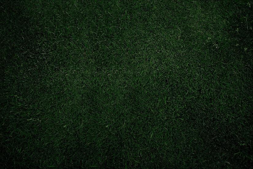 Green grass plain desktop HD wallpaper | HD Wallpapers Rocks
